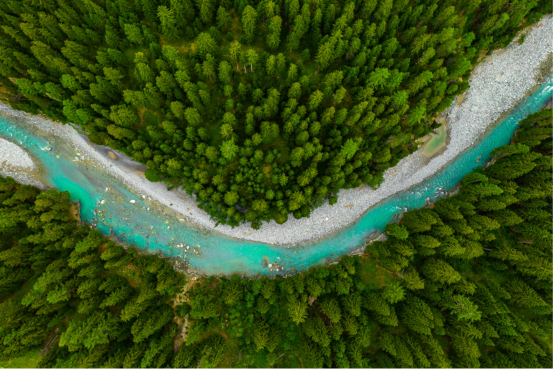 aa